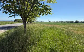 Teren intravilan 50000 mp, cu PUZ, Aprobat - zona Halchiu/Codlea - Poză 19