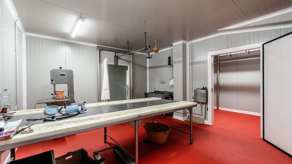 Unitate de abatorizare și procesare carne DN7  -  Nădlac - Poză 10