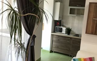 Apartament 1 camera cu nisa de dormit - Poză 4
