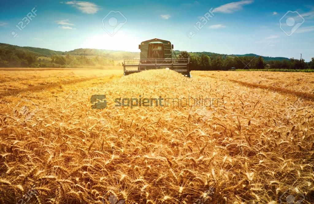 OCAZIE !!! Terenuri agricole de vanzare in Hidiselu de Sus - Poză 2