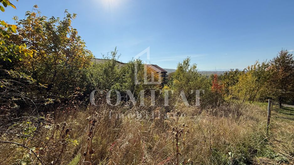 Teren intravilan Făget | 1.490 mp | Front 15 ml | Toate utilitățile - Poză 4