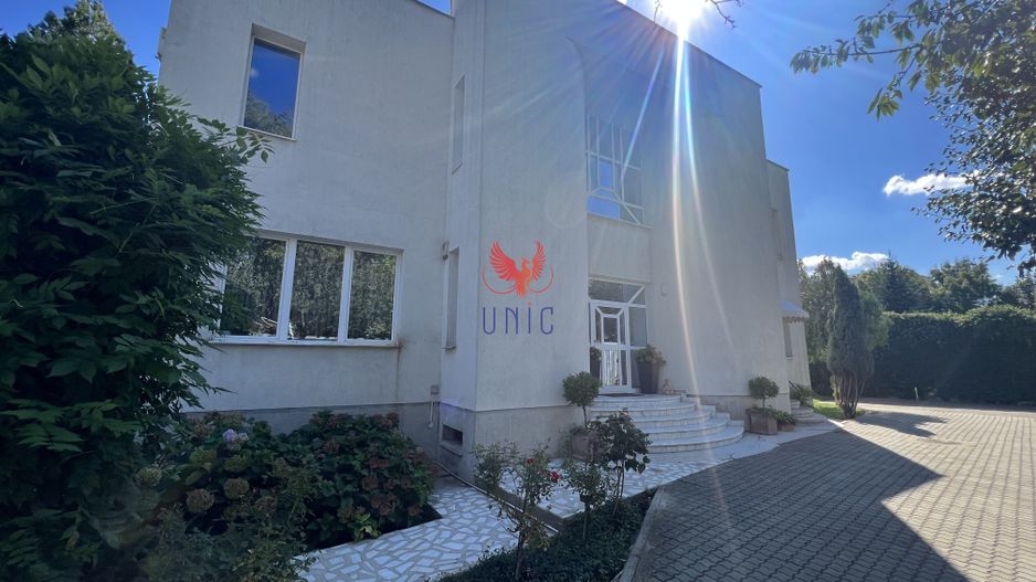 Vila Brazda lui Novac zona Paltinis - Poză 22