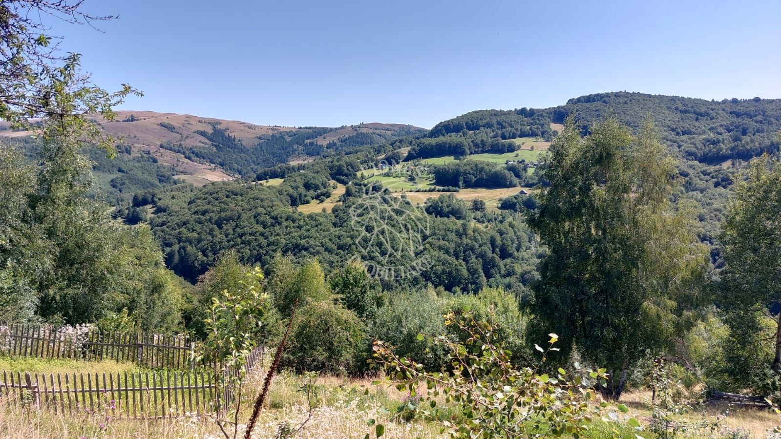 Teren extravilan investiție Rachitele Cluj - 31.555 mp - Poză 5