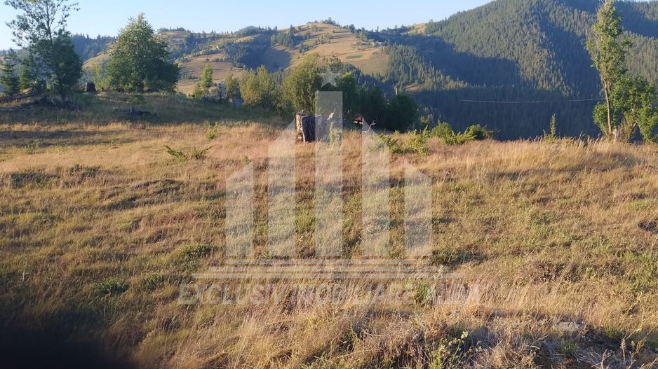 Teren pretabil constructie cabane in Garda de Sus - Poză 3