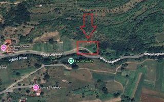 Teren 2317 mp INVESTITIE Sibiel - Poză 2