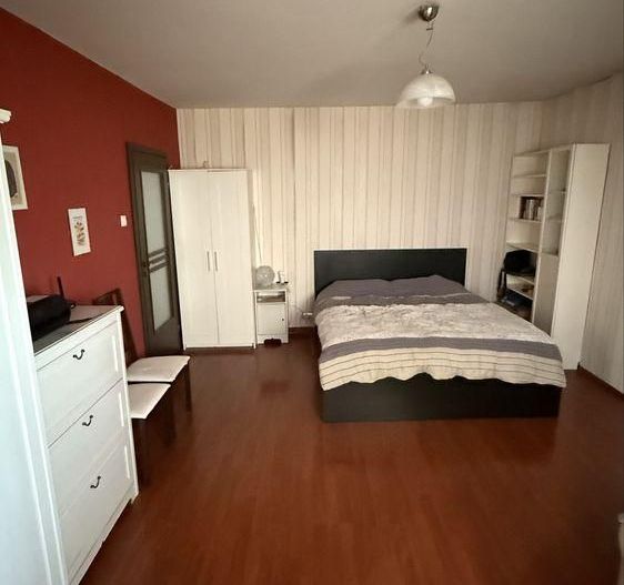 GARSONIERA- BRANCOVEANU, PET-FRIENDLY, PARCARE, BUCATARIE INCHISA - Poză 2