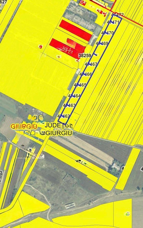 De Vânzare: Teren 25.000 mp – Drumul Vama Giurgiu – Oinacu - Poză 2
