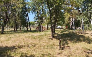 Teren intravilan 2828 mp+autorizatie casa-anexe-livada-Dorolea - Poză 4