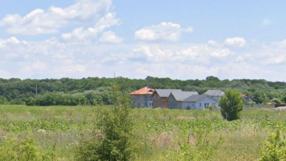 800 mp padurea Snagov Ciofliceni l utilitati la strada - Poză 3