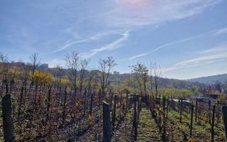 Teren intravilan 1308 mp Rediu | 9 min Copou / Pacurari - Poză 5