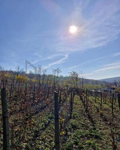 🏡 Teren intravilan 1308 mp Rediu | 9 min (5.8km) Copou / 9 min (5.8km) Pacurari - Poză 5