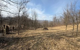 Teren intravilan 2788 mp deschidere 55 ml cu vedere panoramica ! - Poză 3