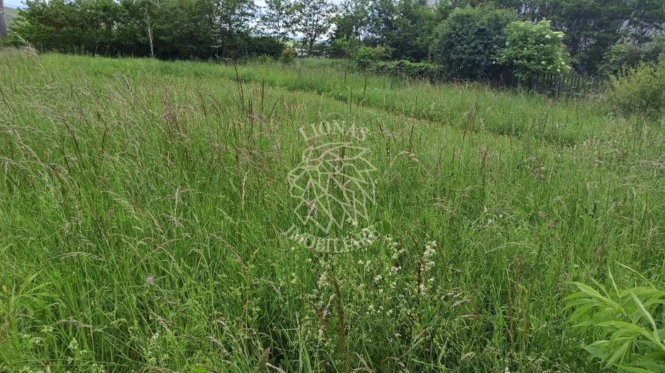 Teren intravilan la DN17 2500 mp-utilitati-Crainimat - Poză 3