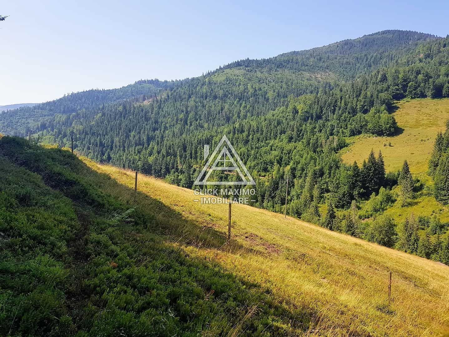 7130 mp TEREN INTRAVILAN ARIESENI-ALBA langa viitoarea partie de SCHI - Poză 1