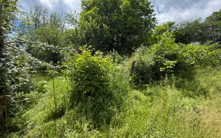 Teren intravilan 1859 mp Plaiu Provita de Sus la asfalt ! - Poză 14