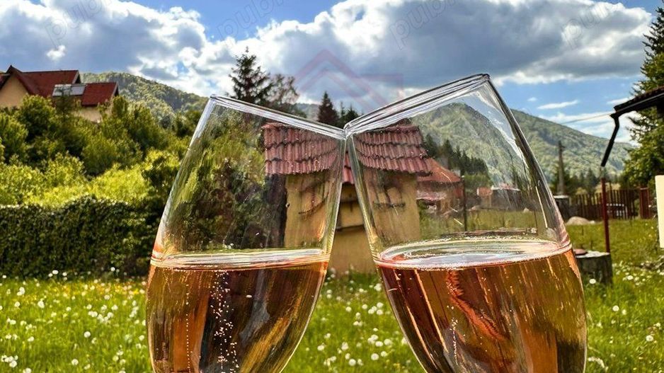 Casă/Vilă la cheie/115mp în Poiana Mărului, jud Caras Severin - Poză 9