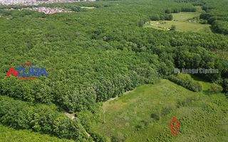 Vanzare teren Balotesti, la padure - Poză 2