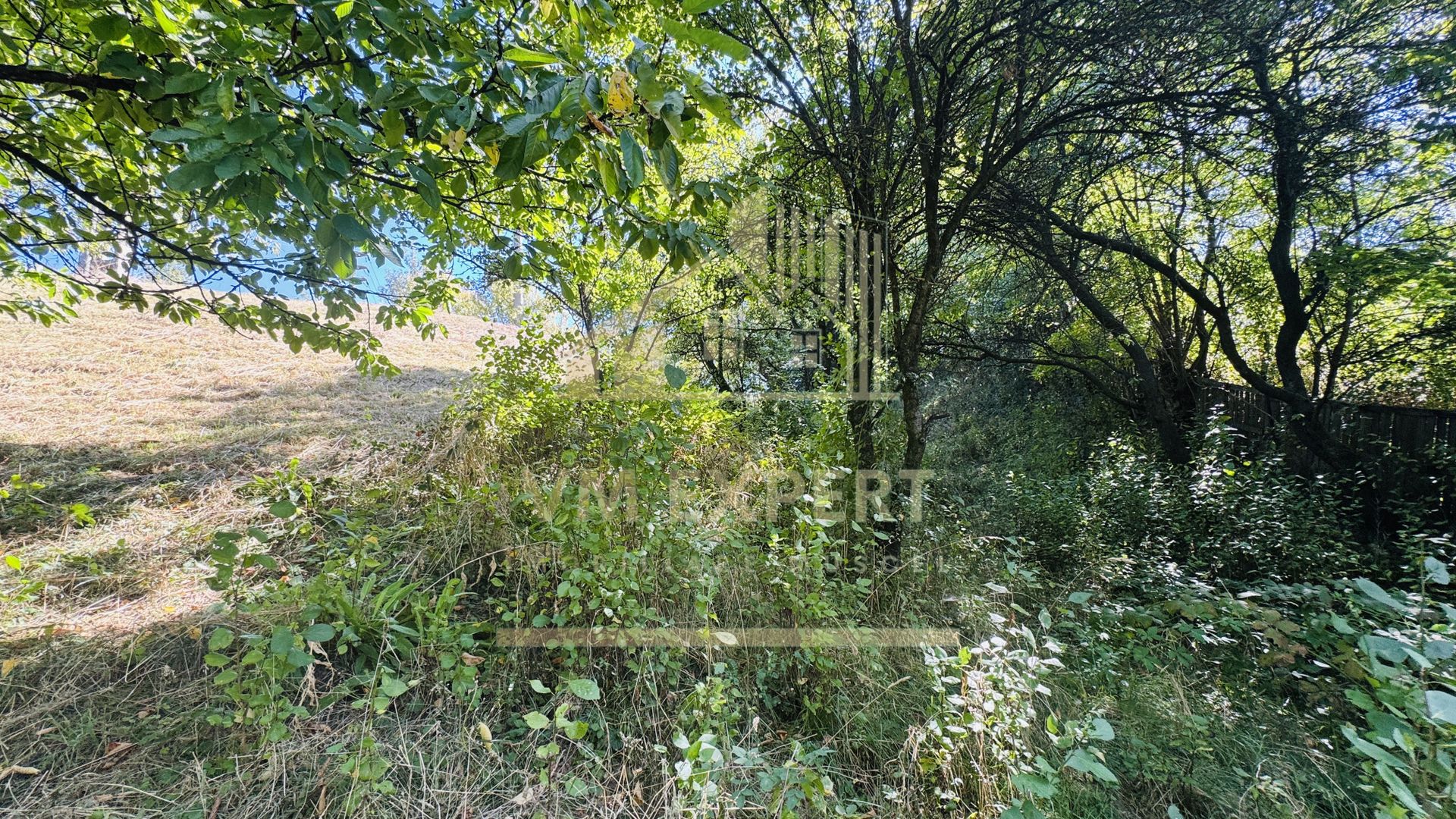 TEREN INTRAVILAN 3234 MP LEREȘTI VOINEȘTI ARGEȘ - Poză 28