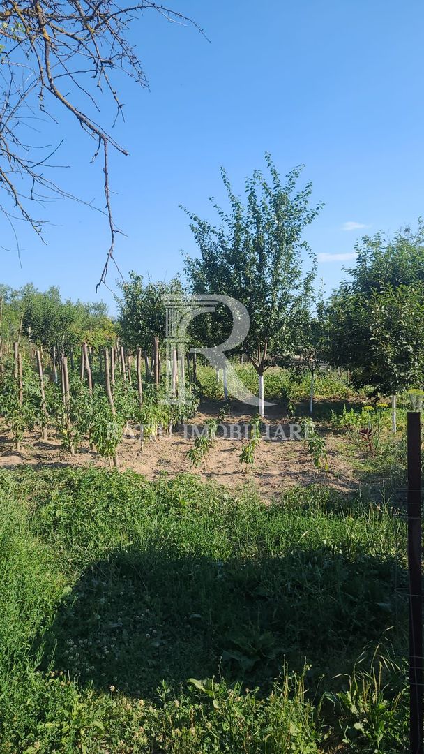 Casa cu 3 camere + garaj si grădină | Picleu | Bihor - Poză 4