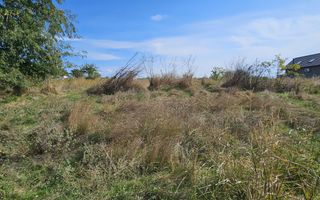 Teren intravilan 1.666 mp – Smârdan – Zonă în dezvoltare, 20 euro/mp - Poză 4