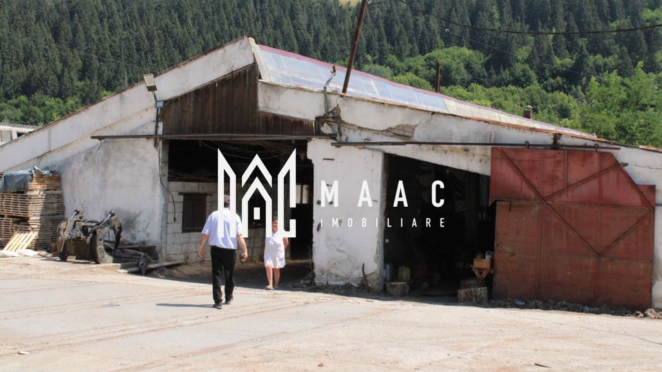 Fabrică de cherestea | Câmpeni | teren 8.000 mp - Poză 4