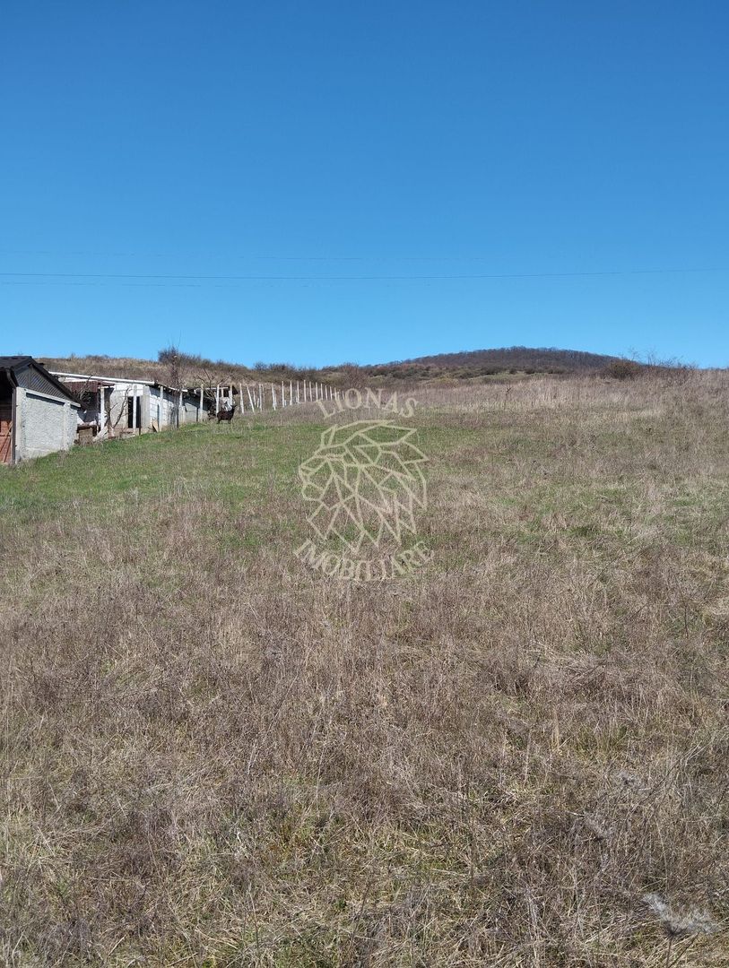 Teren intravilan 3719mp cu utilitati-deschidere la sosea -Crainimat - Poză 2