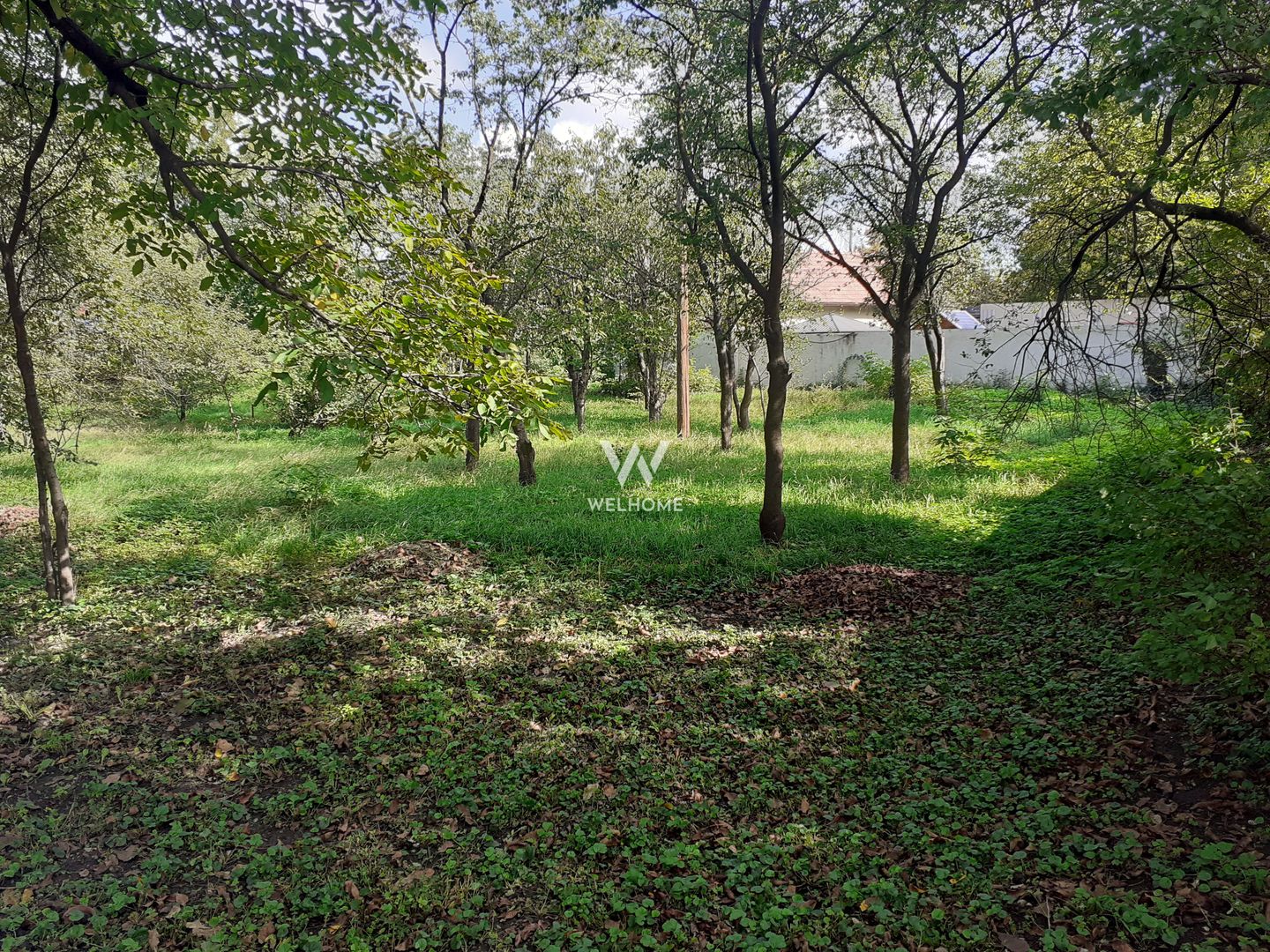 Teren intravilan constructii cu PUZ - S+P+3E+R - Ultracentral - SIBIU - Poză 4