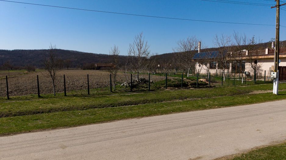 Loc de casă în Odvoș - Conop 3000mp - Poză 1