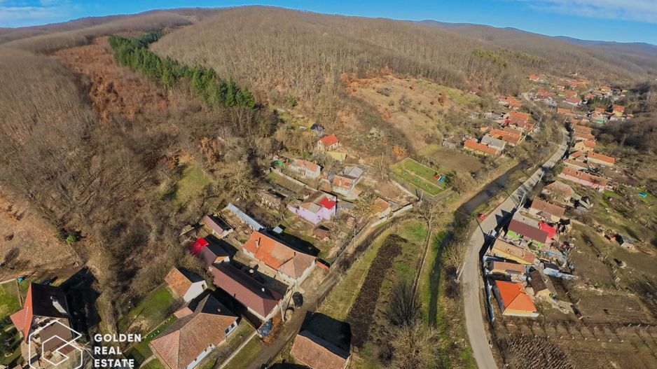 Proprietate pretabila pentru afacere, Cladova - Poză 35