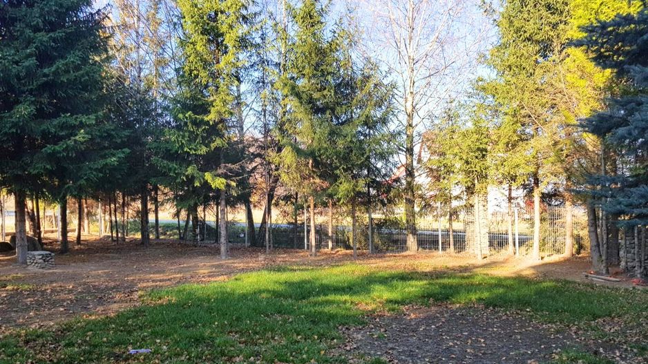 Hotel cu arhitectură montană deosebită poziționare premium Sâmbătă de Sus - Poză 1