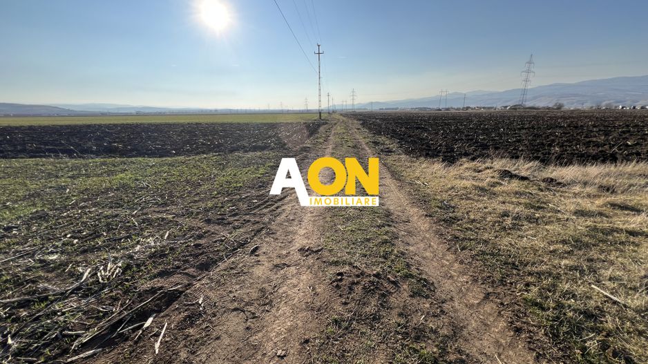 Teren de vanzare, 1300mp - Poză 5