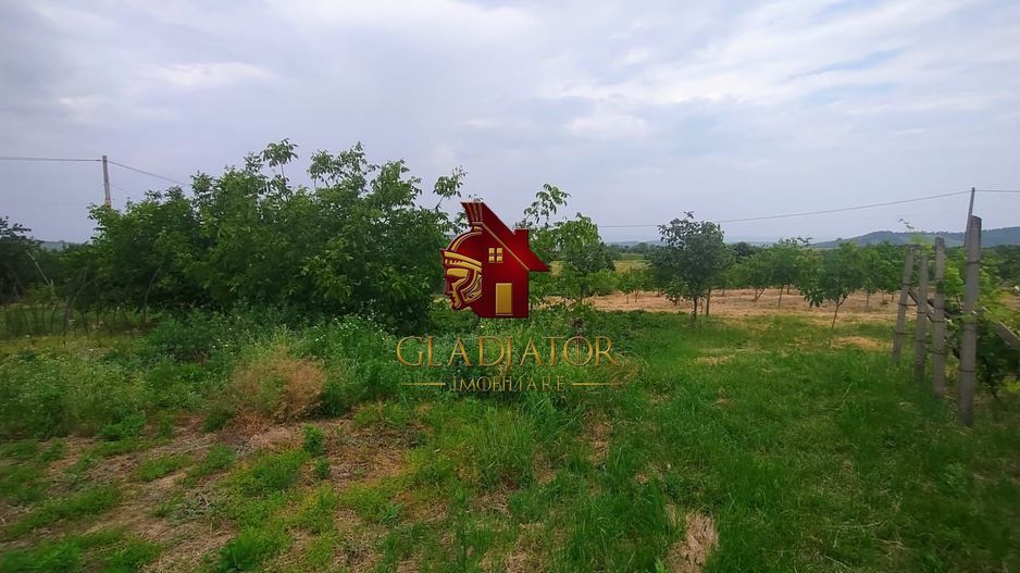 Casa + garaj + 1400 mp teren in Tomesti Goruni, zona de vis, nu rata - Poză 25