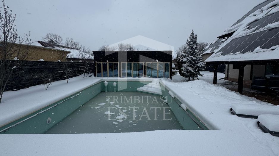Vila cu piscina Snagov Ciofliceni - Poză 18