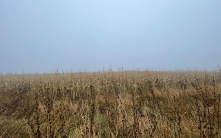 TEREN EXTRAVILAN | DOUA PARCELE| 70 ARI| IDEAL AGRICOL| CALAFINDESTI - Poză 6