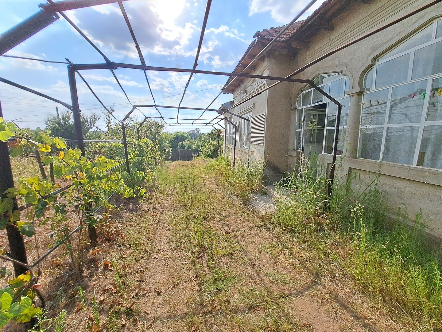 Casa + Teren 13.000 mp - Cervenia - Teleorman - Poză 11