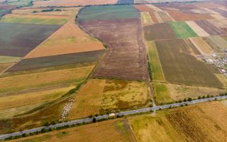 Teren de 19798mp în Zimandu Nou - Poză 3