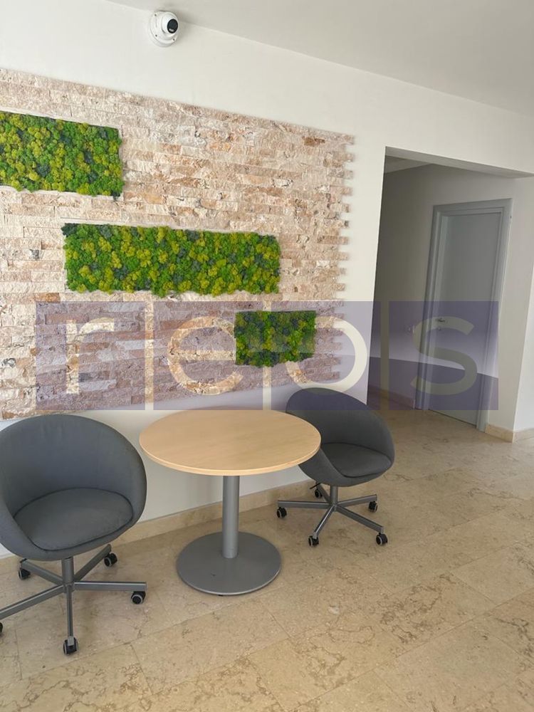 INCHIRIERE SPATIU | ETAJUL 1 | 152MP | ZONA MIHAI BRAVU - Poză 6