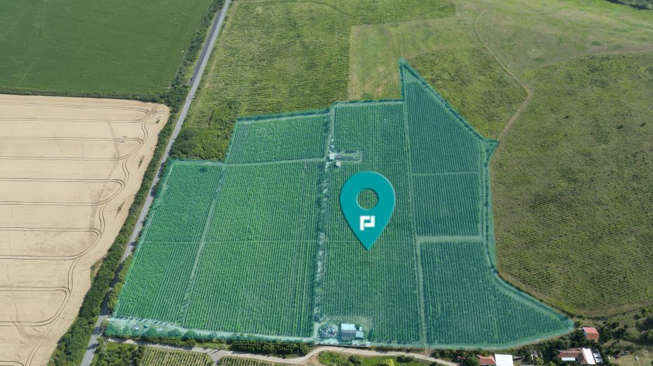 Vie Tradițională „Halta Lupilor” - Poză 1