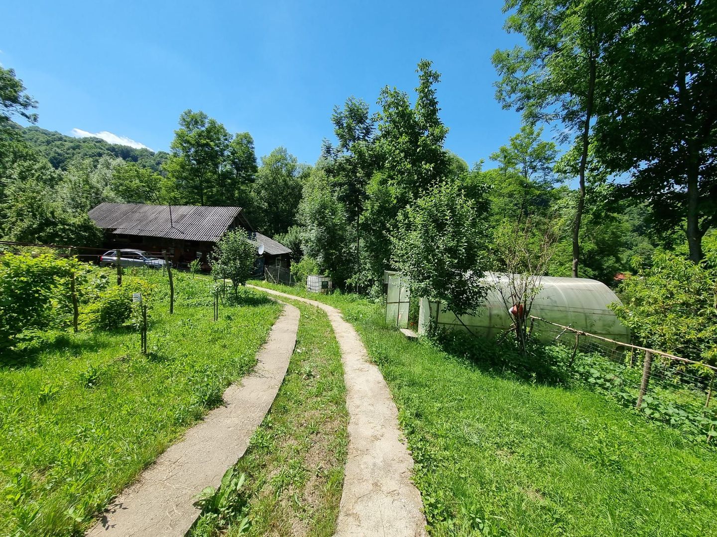 Casa de la marginea padurii! - Poză 13