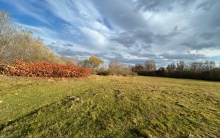 Teren cu potențial turistic I Cârțișoara I 1800 MP - Poză 3