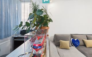 Apartament 2 camere, decomandat în Gradiște, Arad - Poză 11