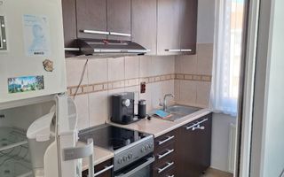 Apartament cu 2 camere de inchiriat-Str Muntenia-Zona Tudor-Cantemir - Poză 4