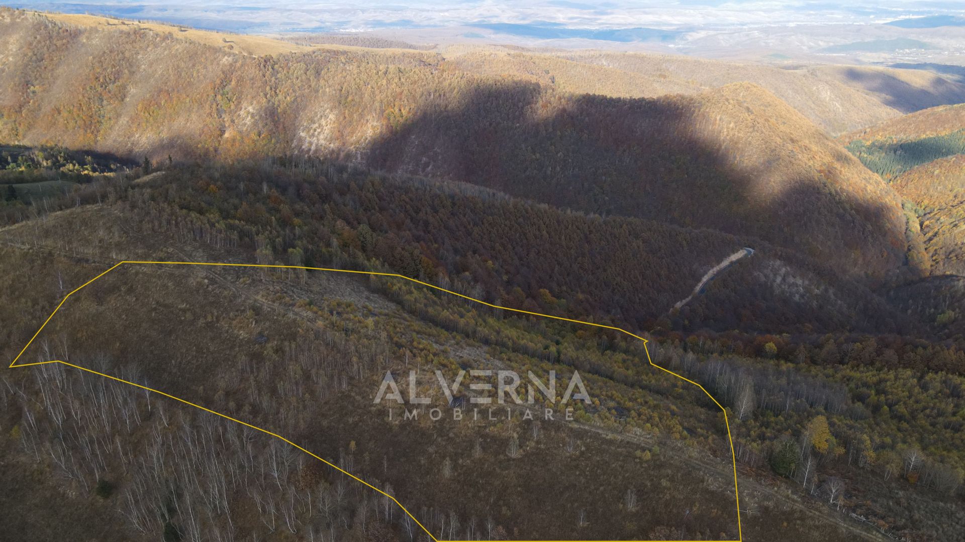 OPORTUNITATE | Teren intravilan | 34.625 mp | Plopi - Valea Ierii - Poză 6