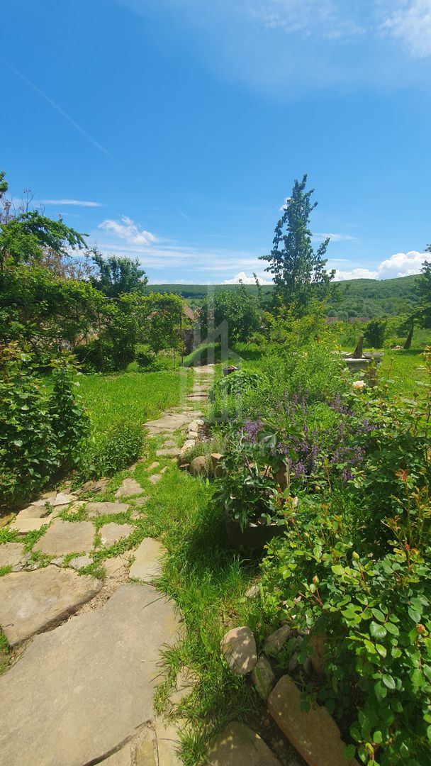 Casa Saseasca de vanzare  in  Somartin  / Comision O % - Poză 17