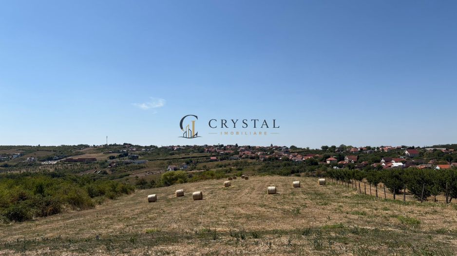 Teren intravilant | 6,355 mp | Săldăbagiu de Munte - Poză 2