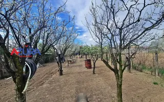 AZURA Imobiliare - Casa Prundu Bananai - Poză 32
