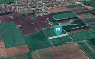 Teren 30.000 mp cu acces asfaltat – Peciu Nou - Poză 4