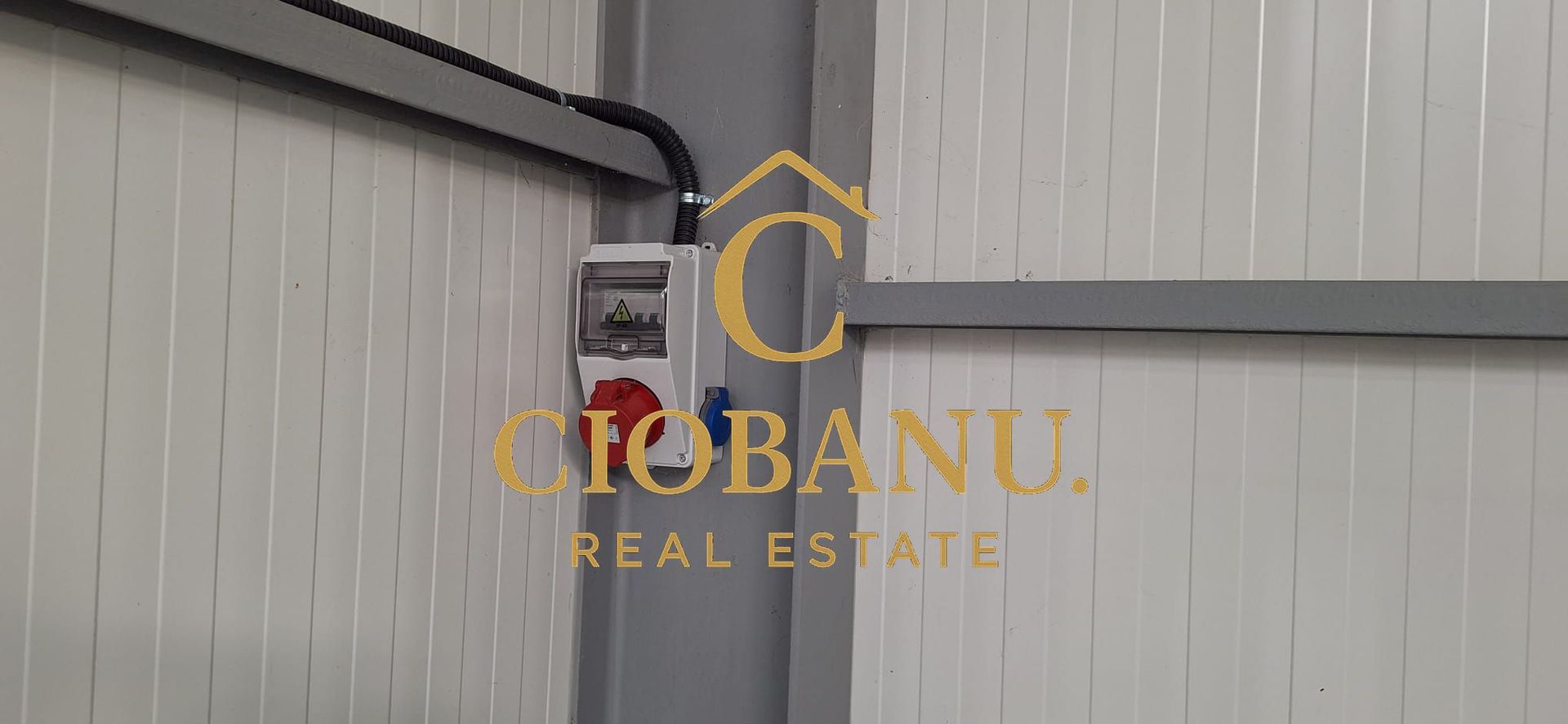 Hala de vanzare in Racarii de Jos - Poză 11