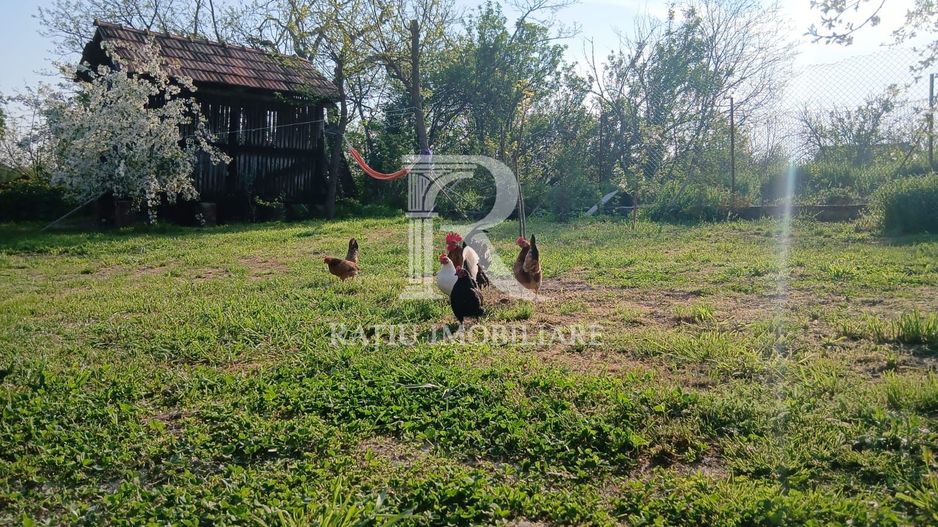 Casa 3 Camere + Anexe de Vanzare  | 125 + 73 mp | Santaul Mare | Bihor - Poză 14