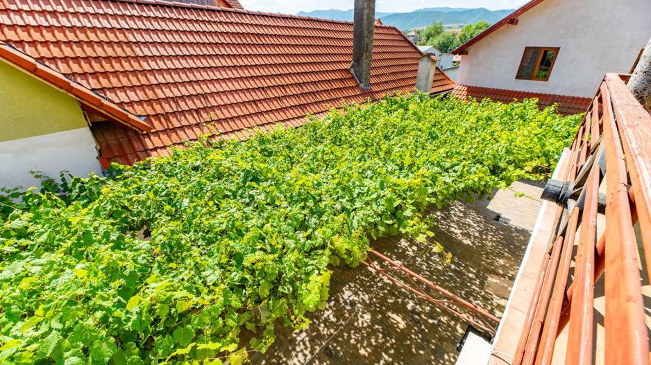 Casa + Pensiune deosebita - Orlat, Sibiu - Poză 38